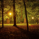 Night park  screen for extension Chrome web store in OffiDocs Chromium