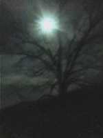 Free download Nightwatch free photo or picture to be edited with GIMP online image editor