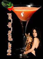 Free download NIVER GATO SOBREMESA 1 free photo or picture to be edited with GIMP online image editor