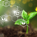 Nông nghiệp Agrinews  screen for extension Chrome web store in OffiDocs Chromium