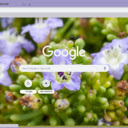 Nolana  screen for extension Chrome web store in OffiDocs Chromium