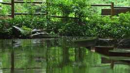 Free download Non Spring Rain -  free video to be edited with OpenShot online video editor