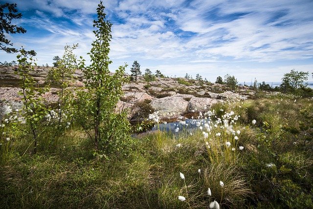 Download gratuito Paesaggio nordico Norvegia - foto o immagine gratis da modificare con l'editor di immagini online di GIMP