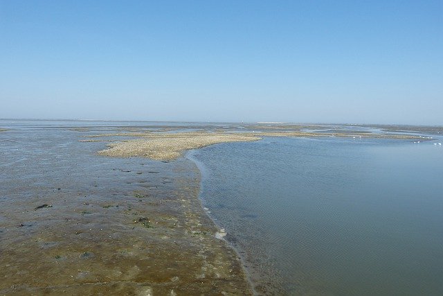 Free picture North Sea Mudflat Hiking Wadden -  to be edited by GIMP free image editor by OffiDocs