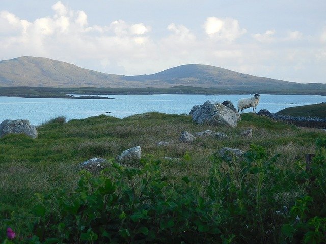Free picture North Uist Sheep Loch -  to be edited by GIMP free image editor by OffiDocs