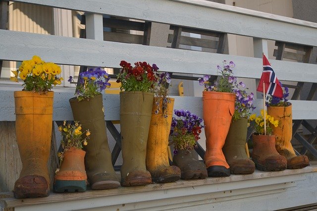무료 다운로드 노르웨이 장식 꽃 - 무료 사진 또는 김프 온라인 이미지 편집기로 편집할 수 있는 사진