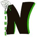 n seo  screen for extension Chrome web store in OffiDocs Chromium