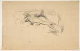 Free download Nude Model, Reclining free photo or picture to be edited with GIMP online image editor