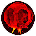 Nuke Tab  screen for extension Chrome web store in OffiDocs Chromium