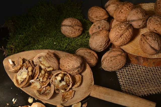 Free download Nuts Autumn Brown -  free photo or picture to be edited with GIMP online image editor