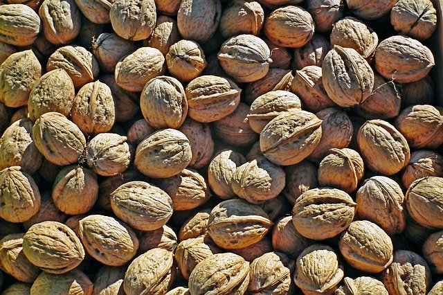 Скачать бесплатно Nuts Italian Autumn - бесплатное фото или изображение для редактирования с помощью онлайн-редактора изображений GIMP