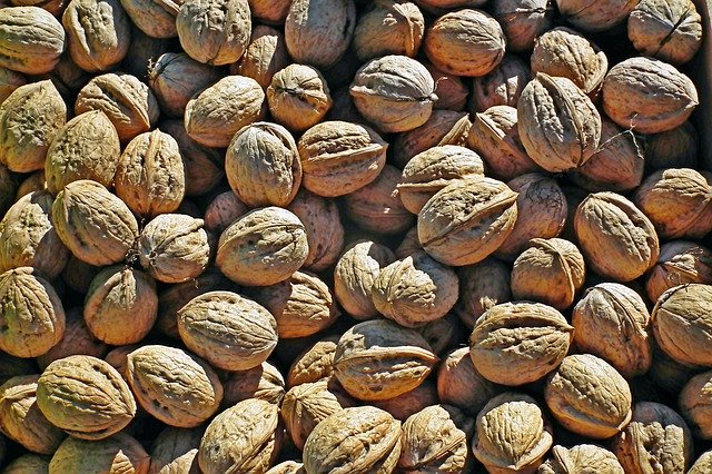 Free download Nuts Italian Autumn -  free photo or picture to be edited with GIMP online image editor