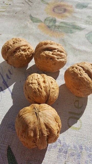 Bezpłatne pobieranie Nuts Walnut Natural - bezpłatne zdjęcie lub obraz do edycji za pomocą internetowego edytora obrazów GIMP