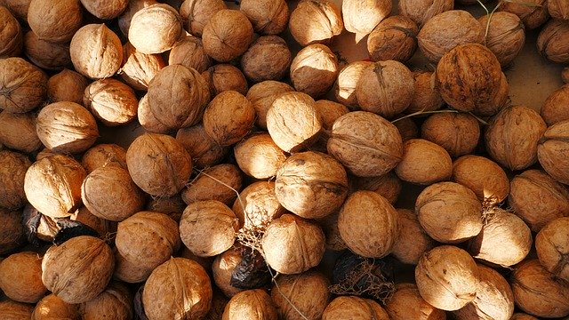 Muat turun percuma Nuts Walnuts Food - foto atau gambar percuma untuk diedit dengan editor imej dalam talian GIMP