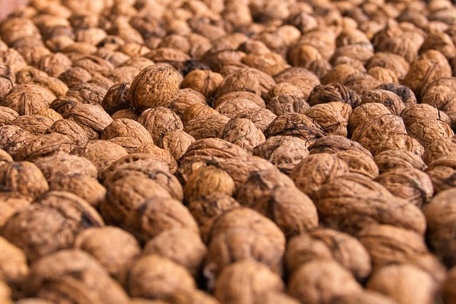 Free download nuts walnuts food healthy free picture to be edited with GIMP free online image editor