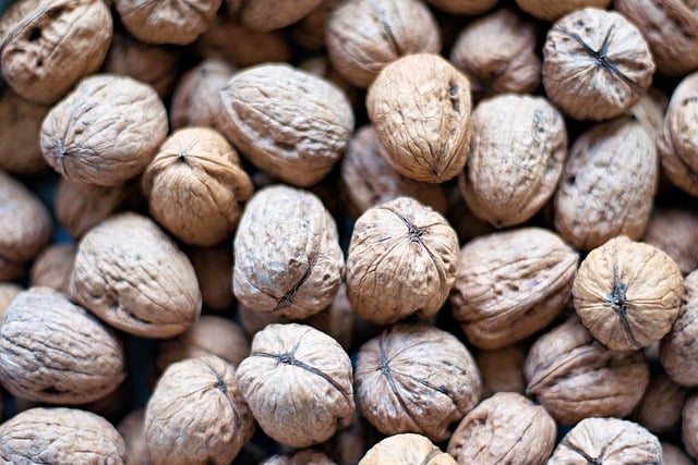 Free download nuts walnuts shell hard brown free picture to be edited with GIMP free online image editor
