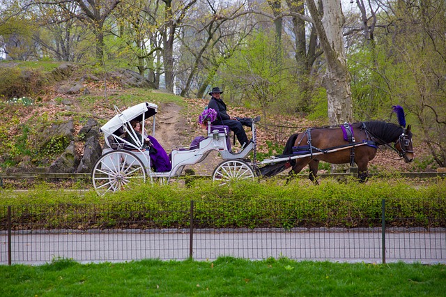Free download ny america manhattan usa city nyc free picture to be edited with GIMP free online image editor