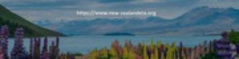 Free download nzeta free photo or picture to be edited with GIMP online image editor