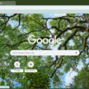 Oak  screen for extension Chrome web store in OffiDocs Chromium
