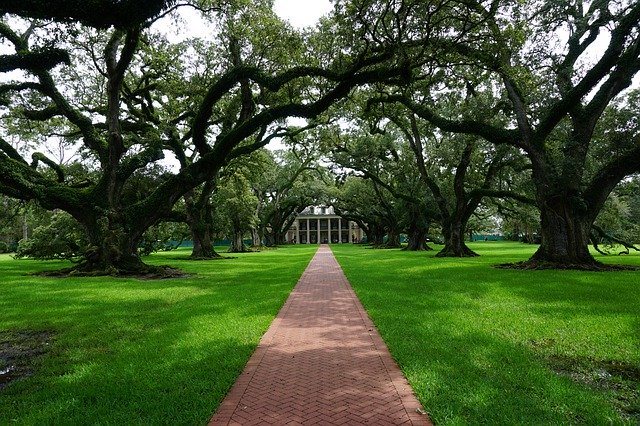 הורדה חינם Oak Alley Plantation New Orleans - תמונה או תמונה בחינם לעריכה עם עורך התמונות המקוון GIMP