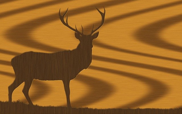 Free download Oak Walnut Wood -  free illustration to be edited with GIMP free online image editor