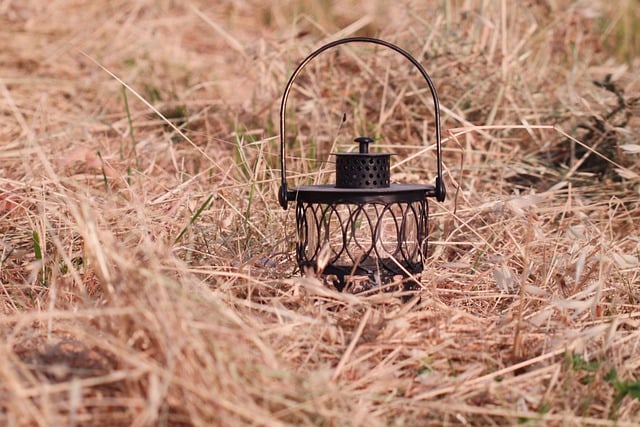 Free download oat field lamp lantern field free picture to be edited with GIMP free online image editor