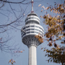 Observation Tower Framed by Autumnal Branches  screen for extension Chrome web store in OffiDocs Chromium