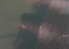 Free download Occupant Says This Is A Demon Photo free photo or picture to be edited with GIMP online image editor