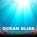 Ocean Bliss Serenity in Every Tab  screen for extension Chrome web store in OffiDocs Chromium