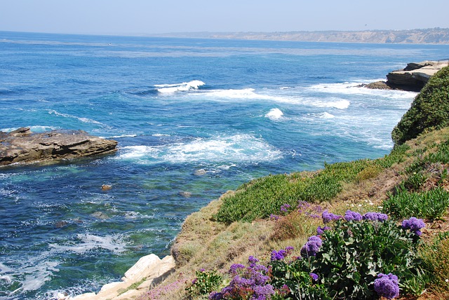 Baixe gratuitamente a imagem gratuita das falésias oceânicas da costa da água de la jolla para ser editada com o editor de imagens on-line gratuito do GIMP