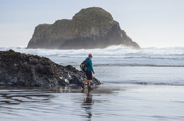 김프 무료 온라인 이미지 편집기로 편집할 수 있는 해안 파도 모래를 걷고 있는 바다 남자 무료 사진을 무료로 다운로드하세요.