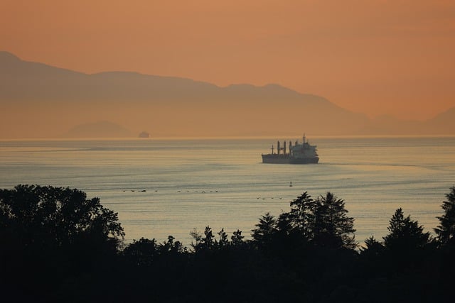 免费下载海洋海洋森林海岸海岸船免费图片使用 GIMP 免费在线图像编辑器进行编辑