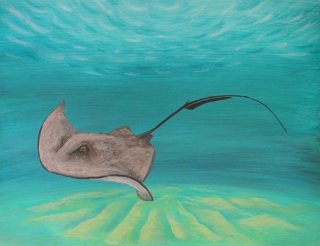Free download Ocean Sea Sting -  free illustration to be edited with GIMP free online image editor
