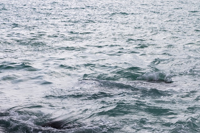 دانلود رایگان تصاویر امواج دریا مشاهده سفر شنا برای ویرایش با ویرایشگر تصویر آنلاین رایگان GIMP