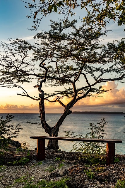 Download gratuito oceano tramonto spiaggia relax panca immagine gratuita da modificare con l'editor di immagini online gratuito di GIMP
