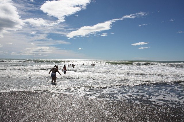 Free download Ocean Swimming Summer -  free photo or picture to be edited with GIMP online image editor