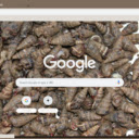 Oc Len  screen for extension Chrome web store in OffiDocs Chromium