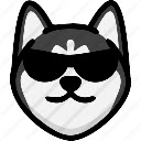 OCW Expander  screen for extension Chrome web store in OffiDocs Chromium