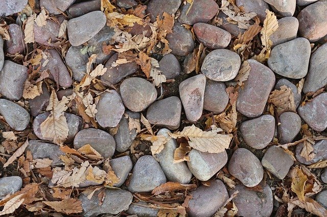 Free download ode leaf autumn stone colour free picture to be edited with GIMP free online image editor