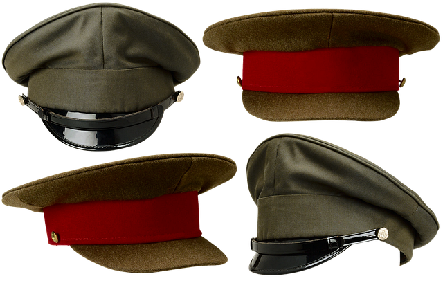 Free download OfficerS Cap Visor Crown -  free free photo or picture to be edited with GIMP online image editor