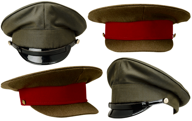 Download gratuito OfficerS Cap Visor Crown - foto o immagine gratuita gratuita da modificare con l'editor di immagini online GIMP