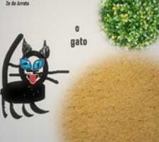 Free download O Gato free photo or picture to be edited with GIMP online image editor
