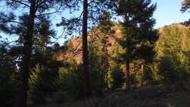 Free download Okanagan Forest Landscape -  free video to be edited with OpenShot online video editor