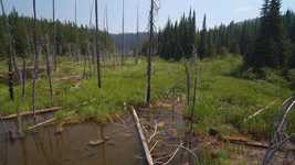 Free download Okanagan Landscape Wetlands -  free video to be edited with OpenShot online video editor
