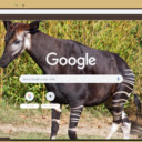 Okapi  screen for extension Chrome web store in OffiDocs Chromium Okapi  screen for extension Chrome web store in OffiDocs Chromium