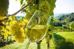 Free download Oklahoma Winery  Wines | Oklahoma Grape Industry Council free photo or picture to be edited with GIMP online image editor