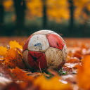 Old Ball On Autumn Leaves Field  screen for extension Chrome web store in OffiDocs Chromium