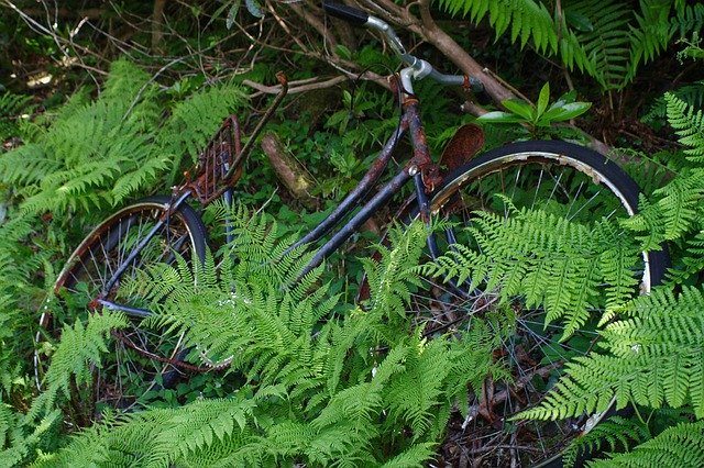 Free download Old Bicycle Vintage -  free photo or picture to be edited with GIMP online image editor