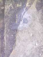 Free download Old Book 010 free photo or picture to be edited with GIMP online image editor