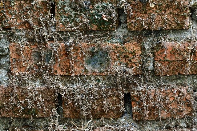 Descarga gratuita Old Brick Dry Wall Vintage: foto o imagen gratuita para editar con el editor de imágenes en línea GIMP